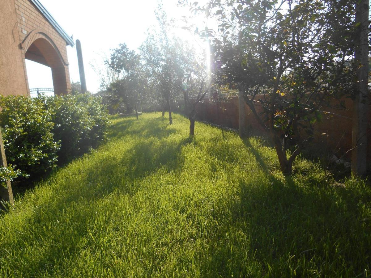The Garden *